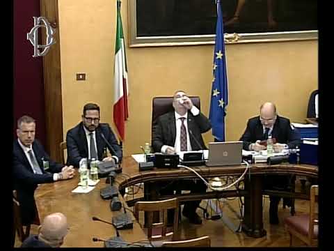 Roma – ​Audizione su politica ciberdifesa Ue  (05.07.23)